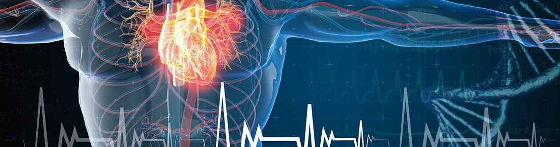 Practical Update in Cardiology 2021