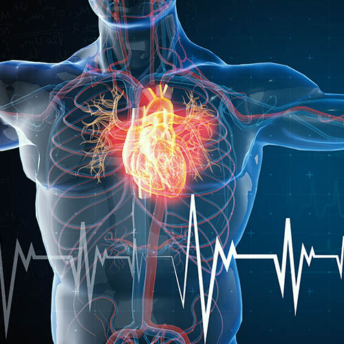 Practical Update in Cardiology 2024