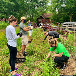 Detroit-Abloom-activity-example